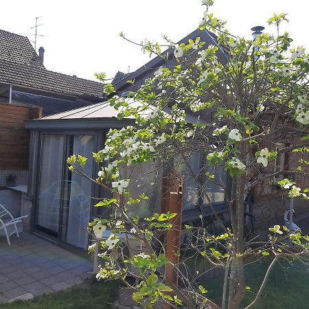 Valff Oasis D'Alsace 빌라 외부 사진