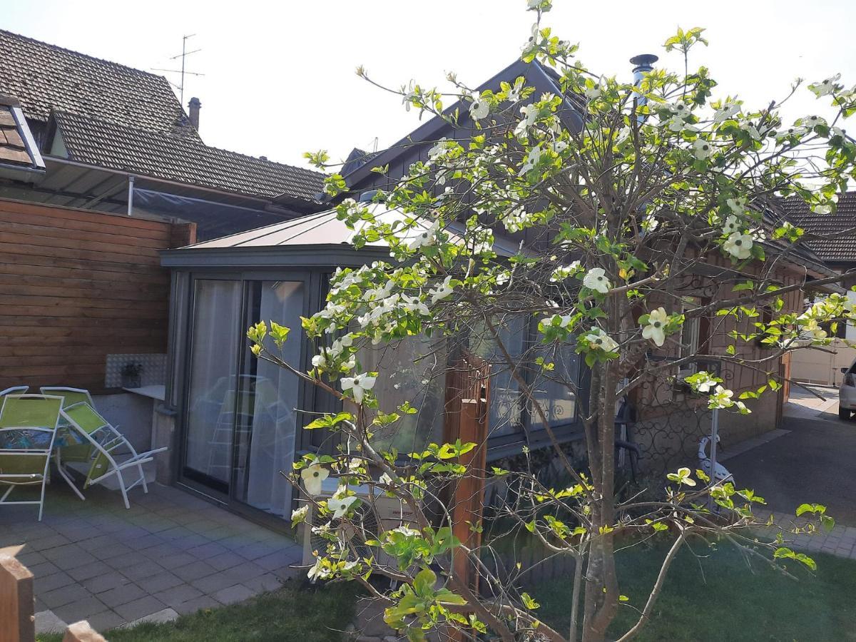 Valff Oasis D'Alsace 빌라 외부 사진